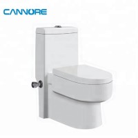 Sanitary Ware New Design Cheap Price Water Closet for Middle East Market