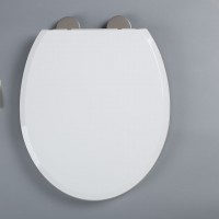 hot sale family toilet seat plastic